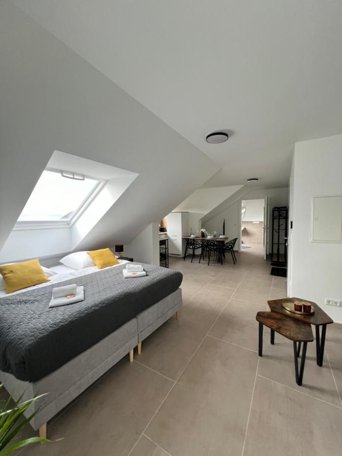 Bnb Open Apartments Pader-Stars Падерборн Екстериор снимка